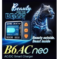 Cargador SkyRC B6 AC Neo 200W 10A