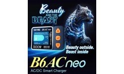 Cargador SkyRC B6 AC Neo 200W 10A