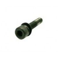 Tornillos Bobina 2 Unid. M4x20