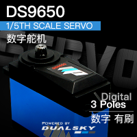Dualsky DS9650, 1/5th scale servo, 202g, 50kg.cm@7.4V