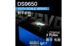 Dualsky DS9650, 1/5th scale servo, 202g, 50kg.cm@7.4V