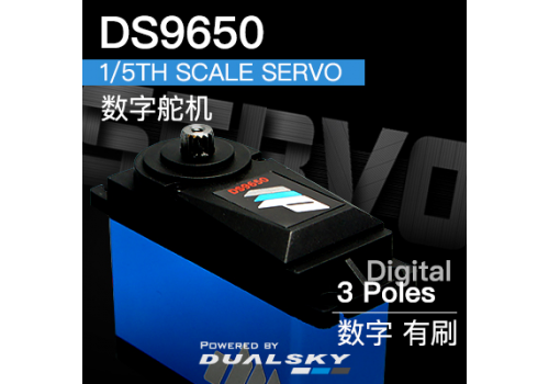 Dualsky DS9650, 1/5th scale servo, 202g, 50kg.cm@7.4V